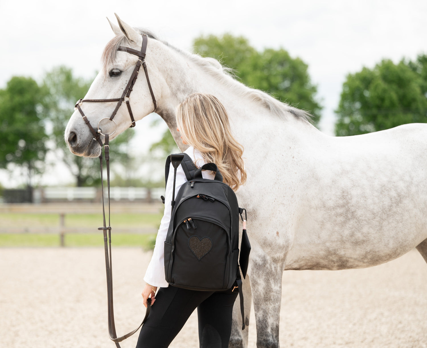 Celebrating National Day of the Horse: